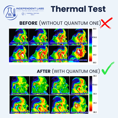 Quantum One EMF Protection Chips