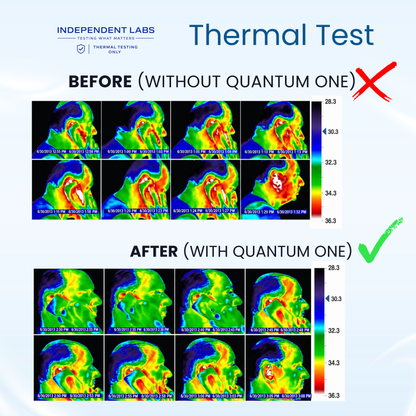 Premium EMF Protection Chips - Instant Protection From Harmful Radiations